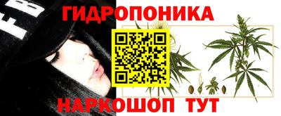 мдпв Славгород