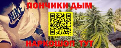 мдпв Славгород