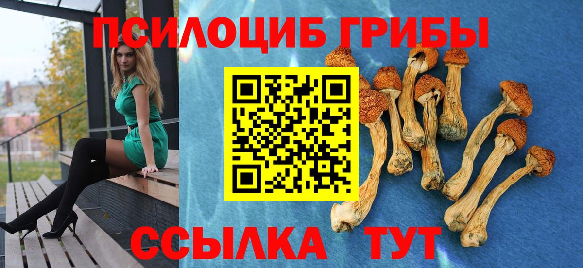Галлюциногенные грибы Magic Shrooms  Вход с VPN  Петропавловск-Камчатский  что такое   Псилоцибиновые грибы Psilocybe 